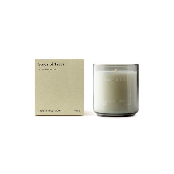 Study of trees candle from Milligram