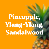 BLOOM France Incense - PINEAPPLE